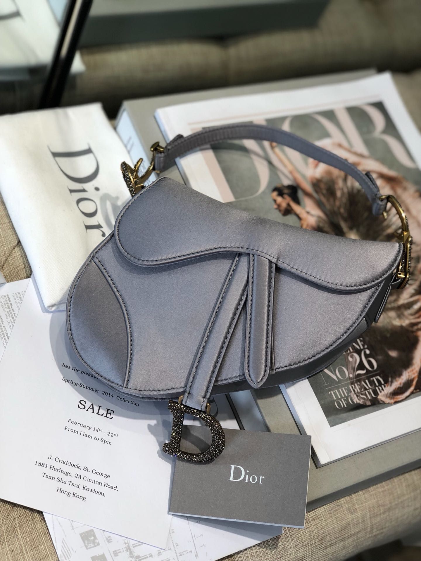 Dior SADDLE SATIN MINI BAG M447S Gray