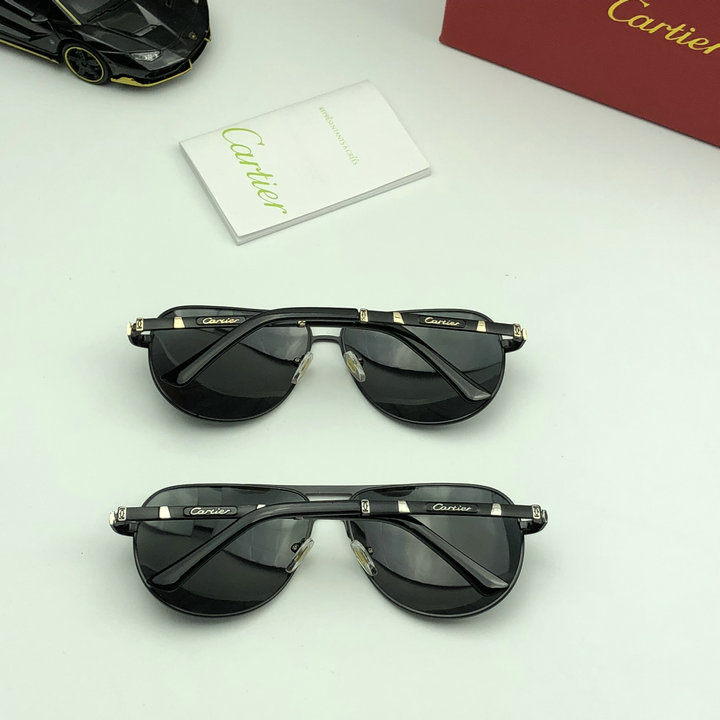 Cartier Sunglasses Top Quality C5733_104