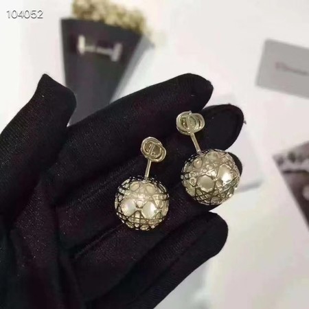Dior Earrings CE3520