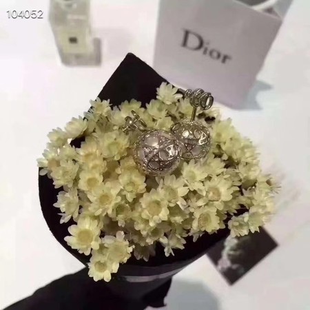 Dior Earrings CE3520