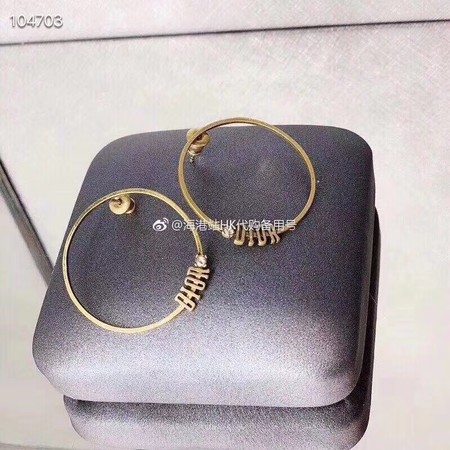 Dior Earrings CE3542