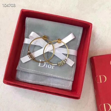 Dior Earrings CE3542