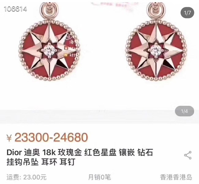 Dior Earrings CE3570