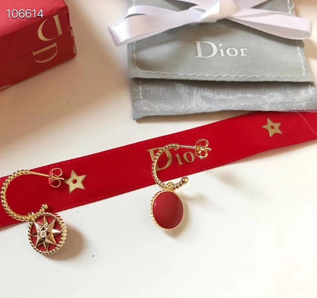 Dior Earrings CE3570