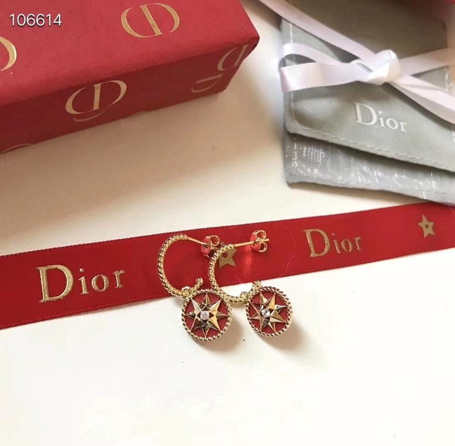 Dior Earrings CE3570