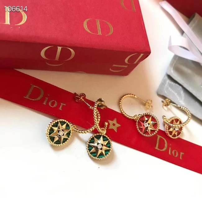 Dior Earrings CE3571