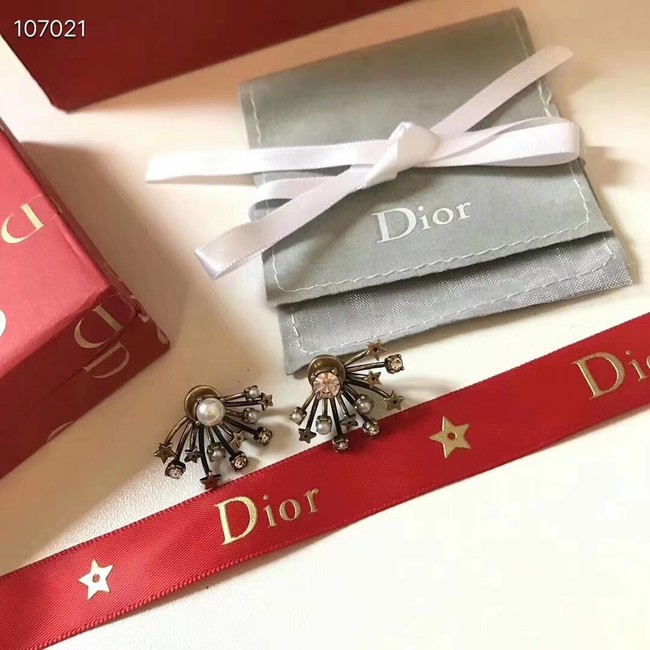 Dior Earrings CE3597