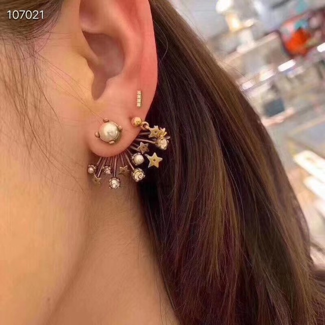 Dior Earrings CE3597