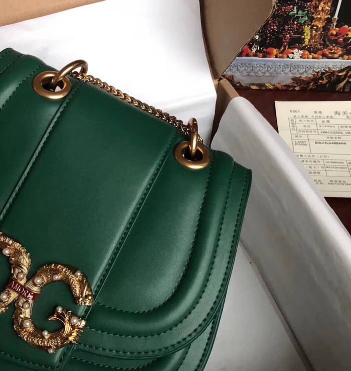 Dolce & Gabbana Origianl Leather Bag 4917 Green