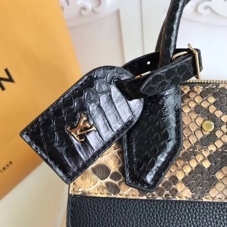 Louis Vuitton Original Leather Mini N95975 Black