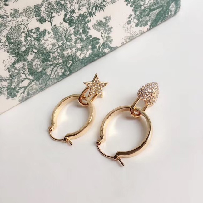 Dior Earrings CE3860
