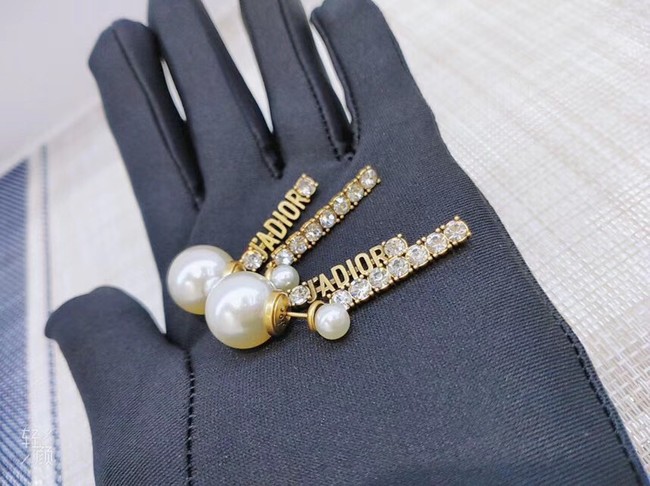 Dior Earrings CE3861