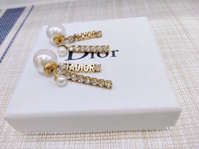Dior Earrings CE3861