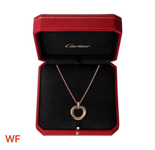 Cartier Necklace CE3869