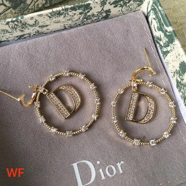 Dior Earrings CE3886