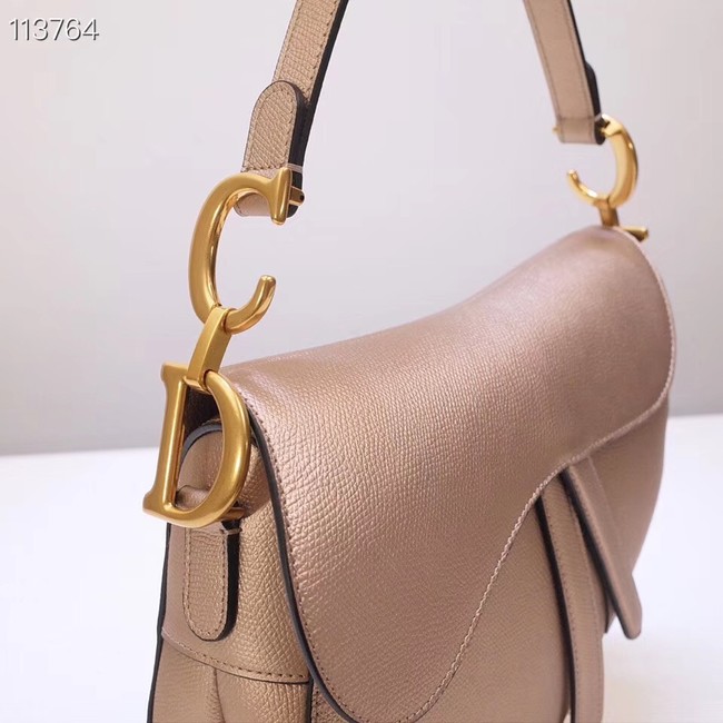 Dior Mini Saddle Bag Calfskin M0447 Gold