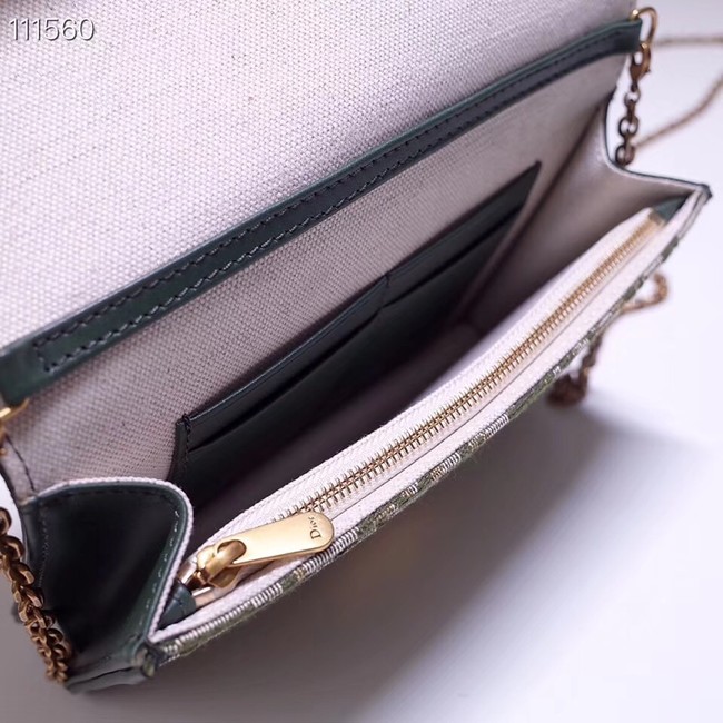 Dior DIORAMA leather Chain bag S2012 green