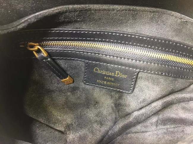 Dior SADDLE Embroidered Leather Mini bag M0446