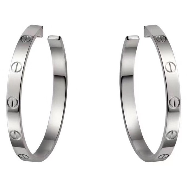 Cartier Earrings CE4141
