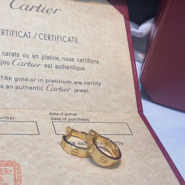 Cartier Earrings CE4147