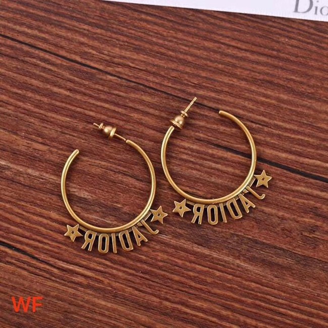 Dior Earrings CE4266