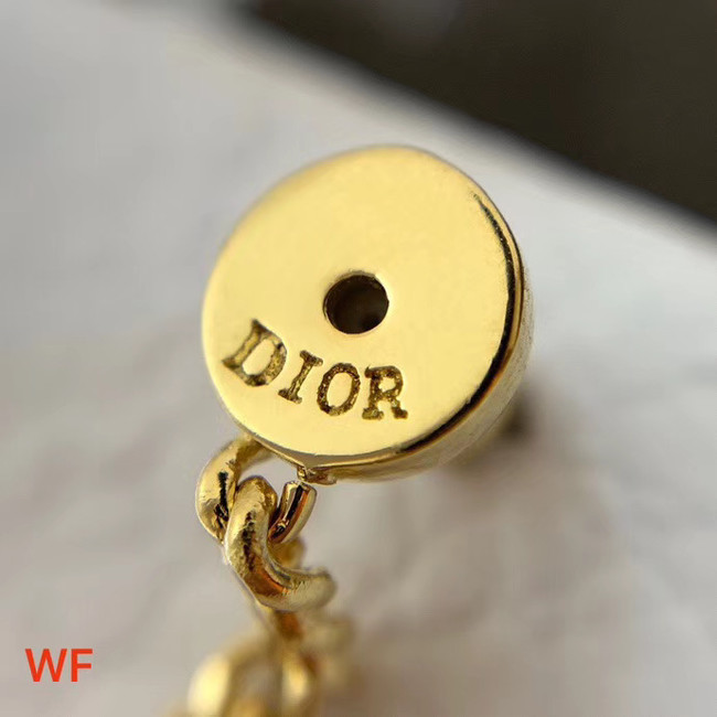 Dior Earrings CE4296