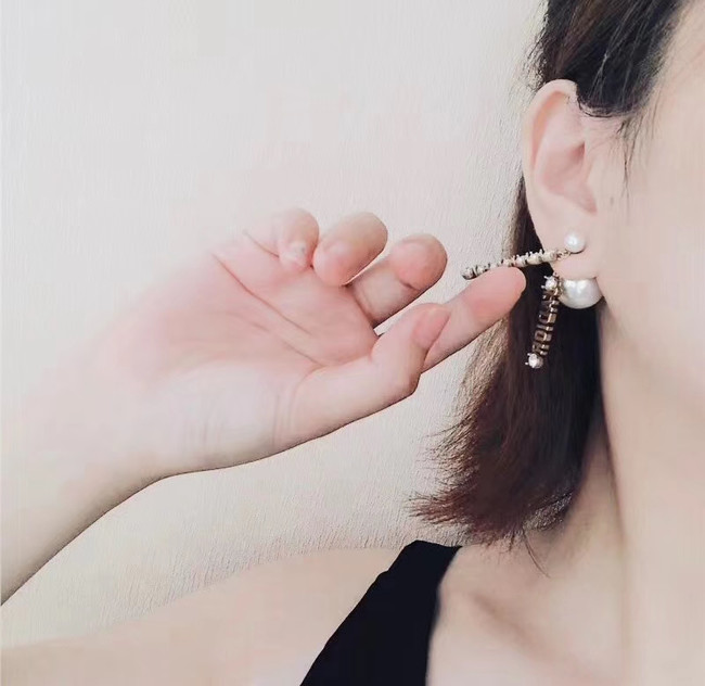 Dior Earrings CE4340