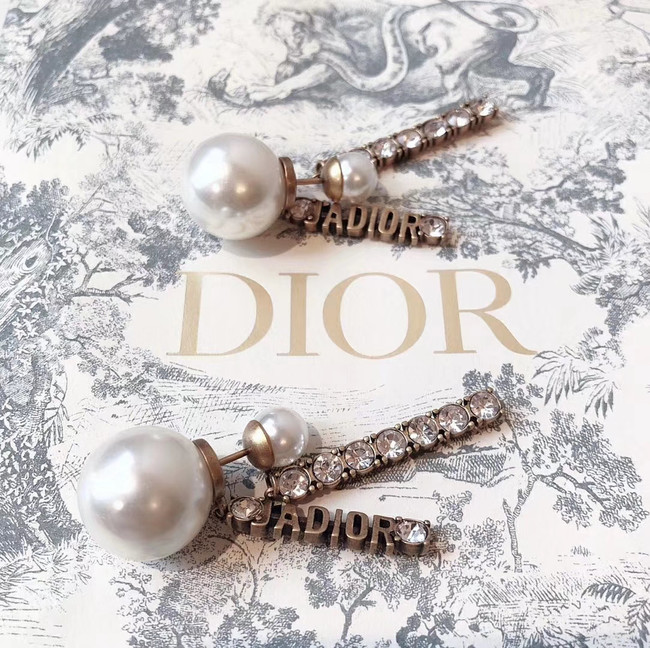 Dior Earrings CE4340