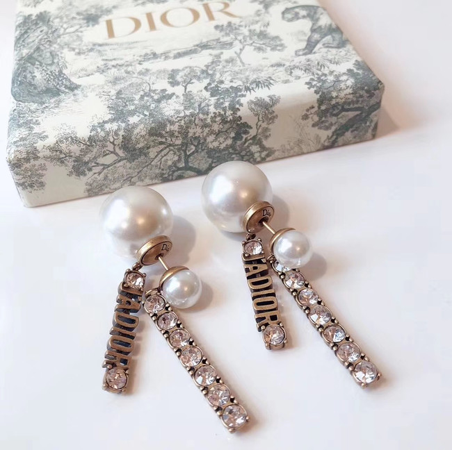 Dior Earrings CE4340