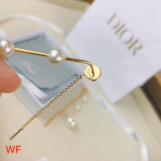 Dior Earrings CE4459