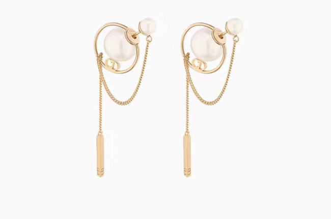 Dior Earrings CE4477