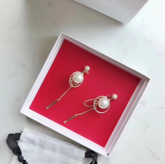 Dior Earrings CE4477