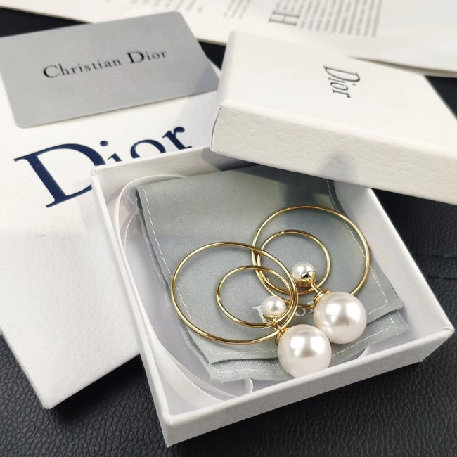 Dior Earrings CE4505