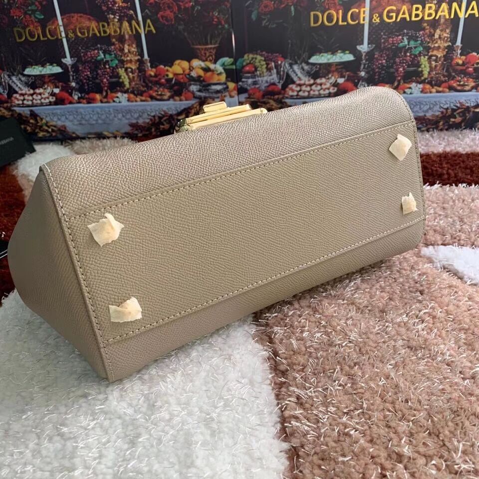Dolce & Gabbana Origianl Leather Bag 4131 apricot