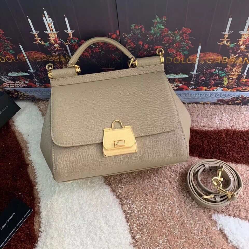 Dolce & Gabbana Origianl Leather Bag 4131 apricot