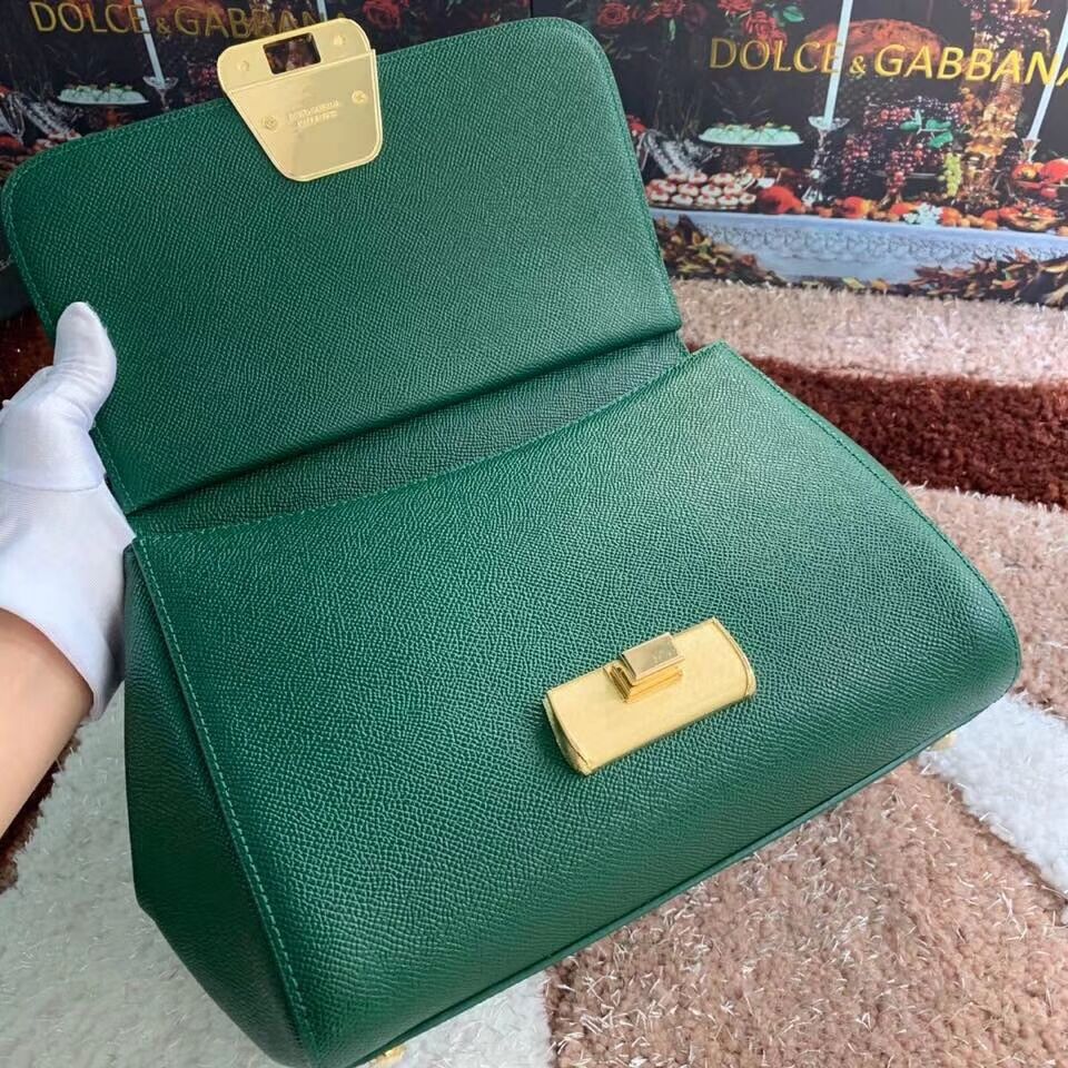 Dolce & Gabbana Origianl Leather Bag 4131 green