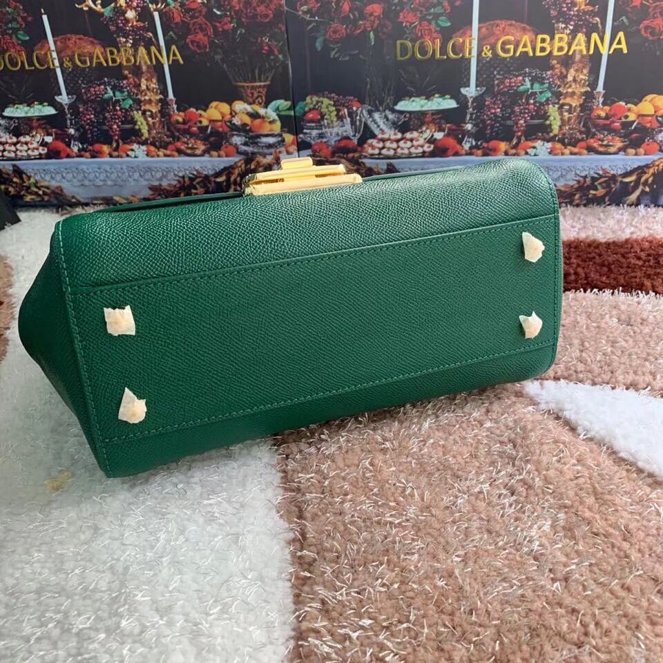 Dolce & Gabbana Origianl Leather Bag 4131 green