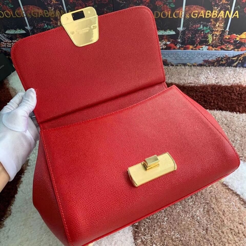 Dolce & Gabbana Origianl Leather Bag 4131 red