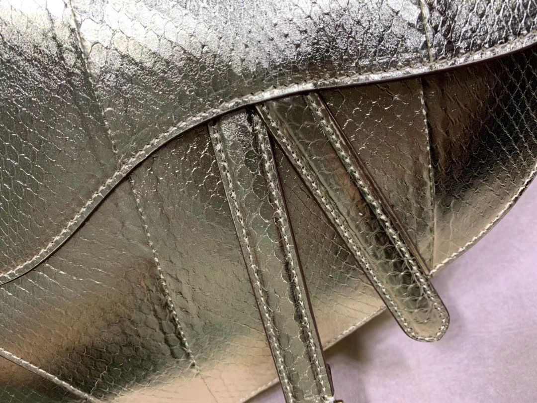 Dior SADDLE-TAS VAN KALFSLEER PYTHON LEATHER Bag M0446C Gold
