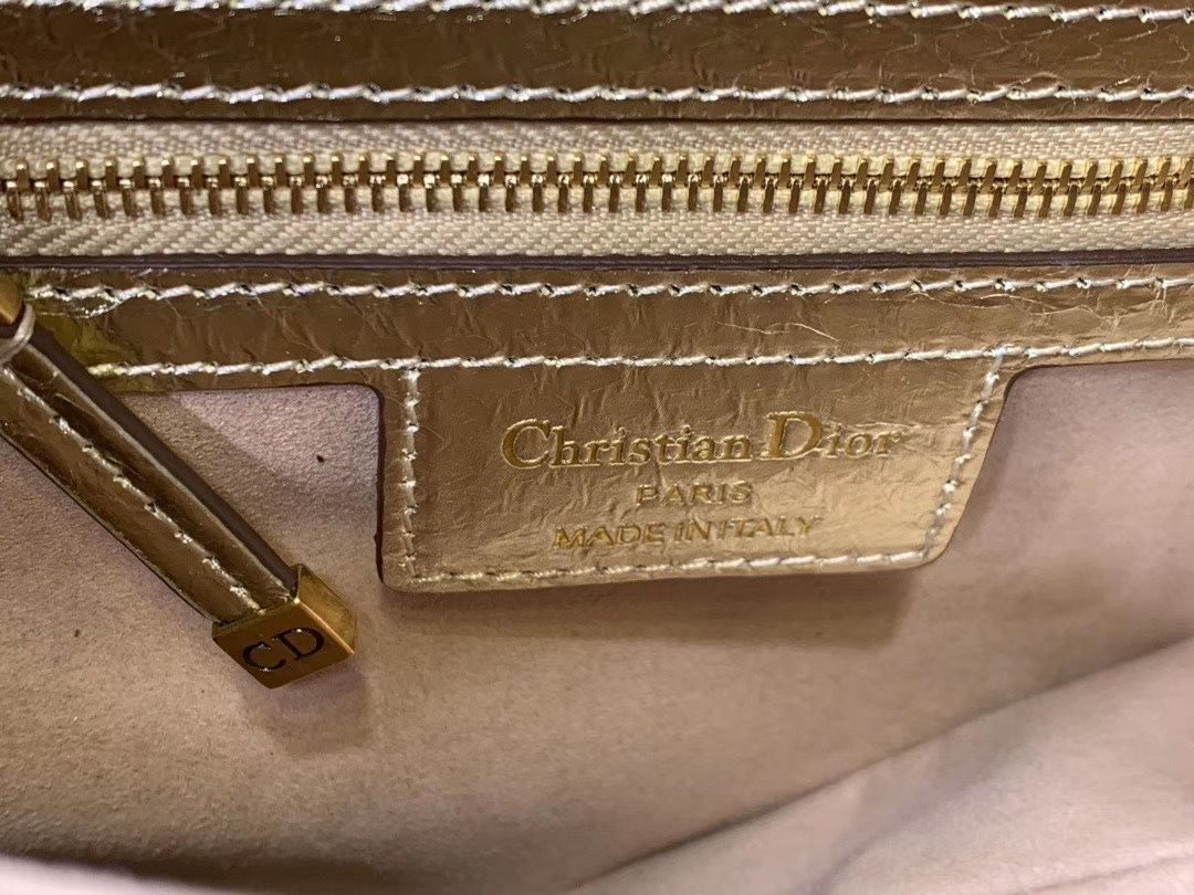 Dior SADDLE-TAS VAN KALFSLEER PYTHON LEATHER Bag M0446C Gold