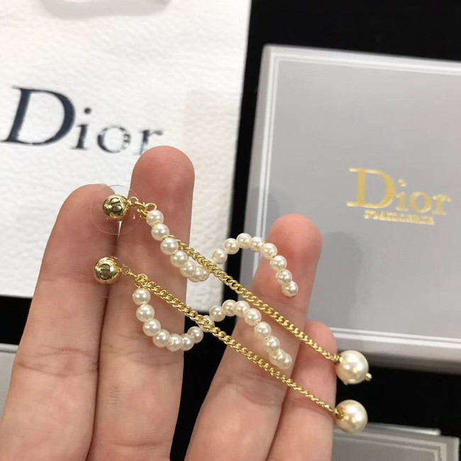 Dior Earrings CE4517