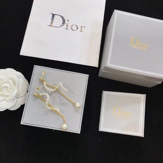 Dior Earrings CE4517