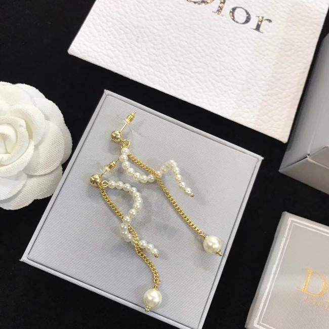 Dior Earrings CE4517