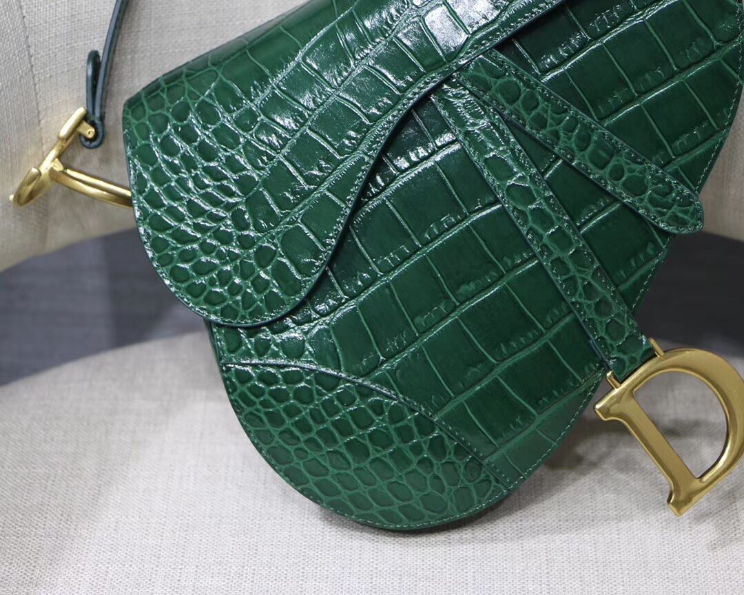 Dior SADDLE SOFT CALFSKIN BAG C9045 green