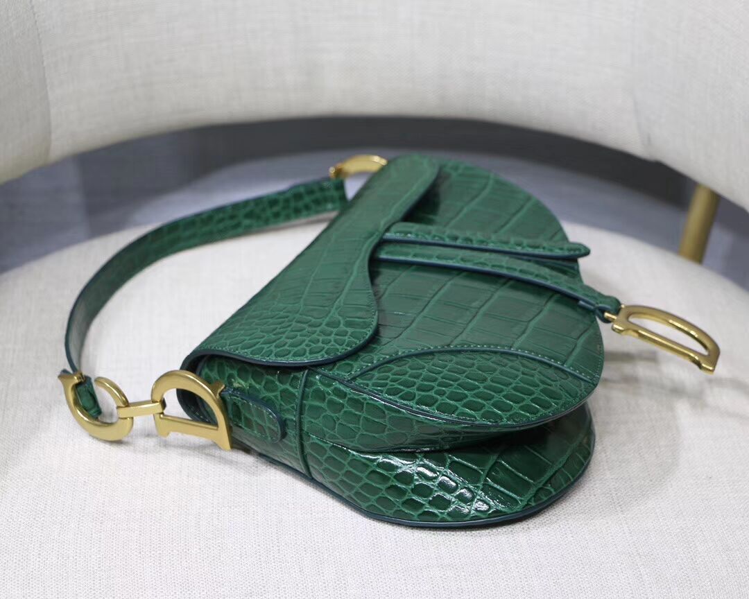 Dior SADDLE SOFT CALFSKIN BAG C9045 green