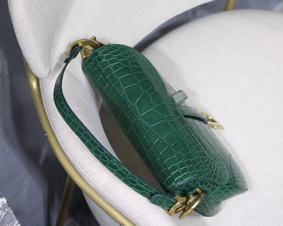 Dior SADDLE SOFT CALFSKIN BAG C9045 green