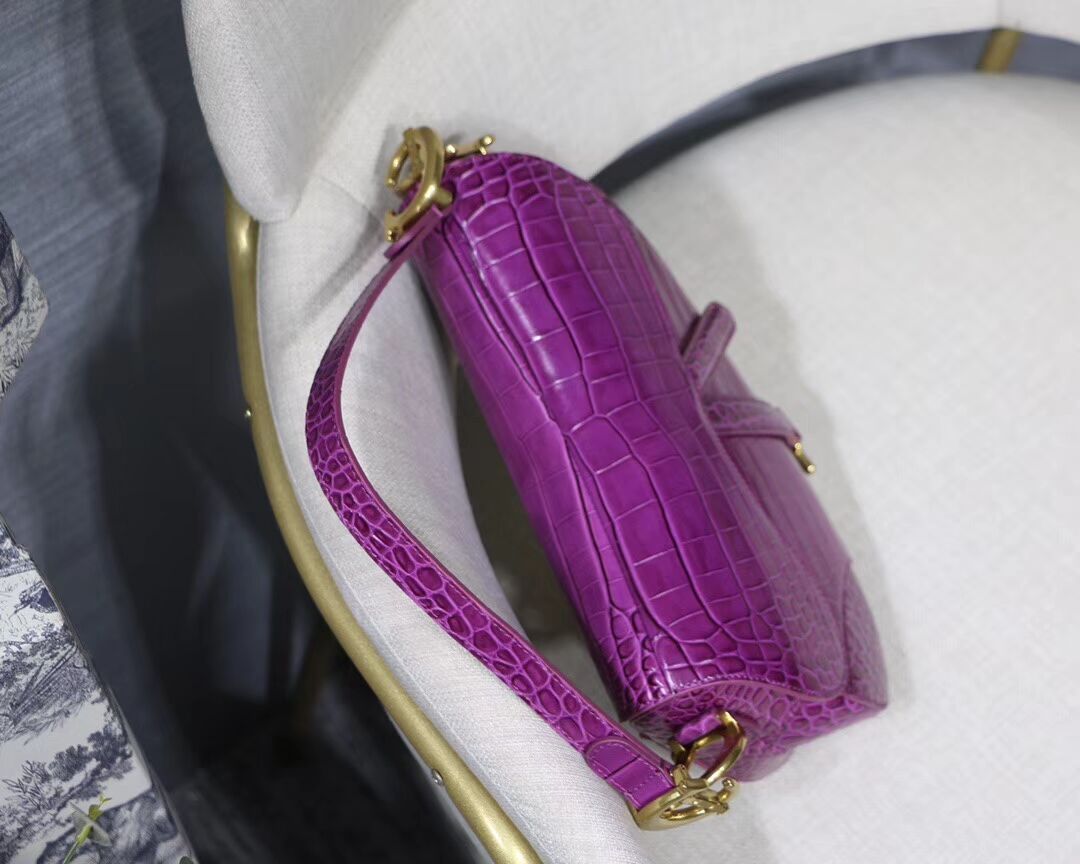 Dior SADDLE SOFT CALFSKIN BAG C9045 purple