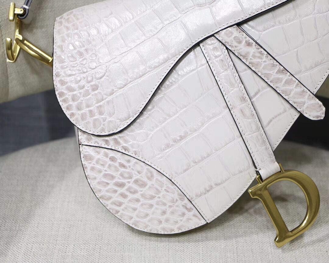Dior SADDLE SOFT CALFSKIN BAG C9045 white