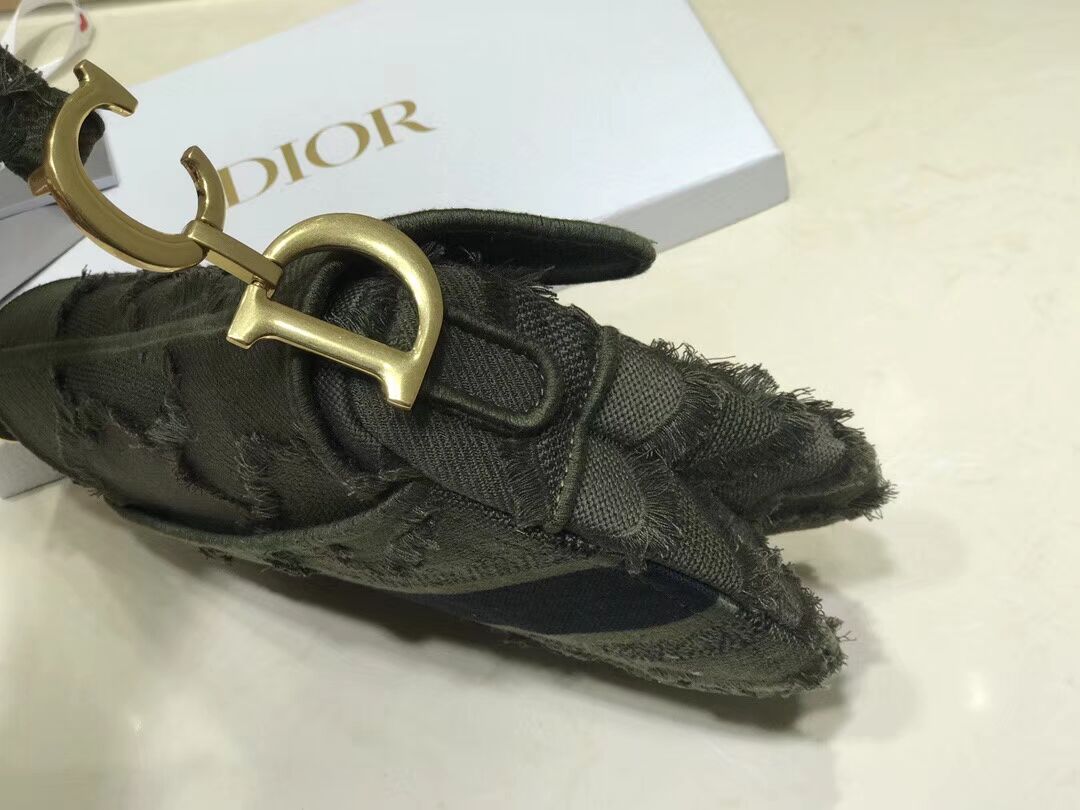 DIOR GREEN SADDLE CAMOUFLAGE POUCH M0446C