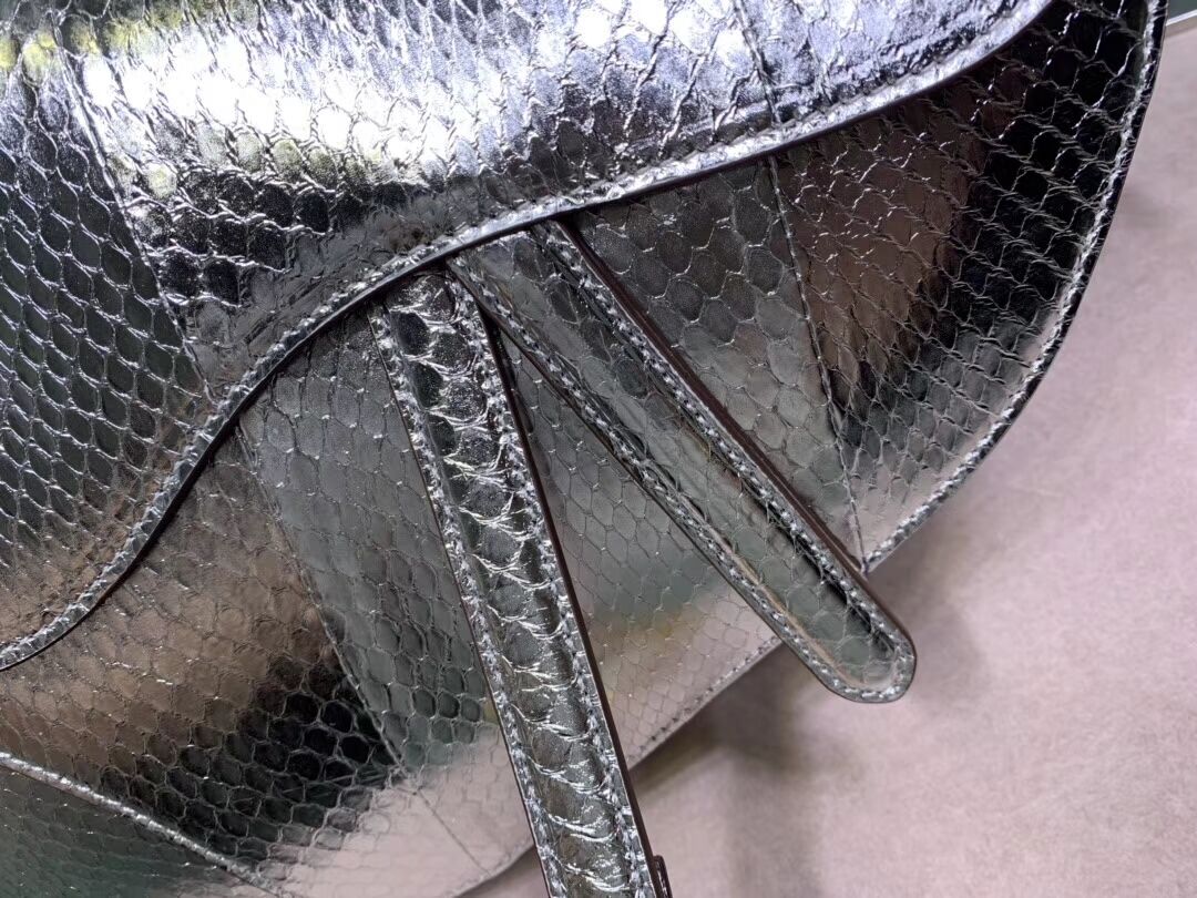 Dior SADDLE Snake skin tote C9046 silver